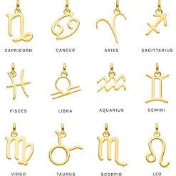 Shop PURELEI Jungfrau Zodiac Charm