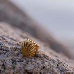Hot PURELEI Shell Ring