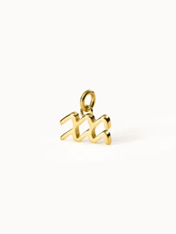 Hot PURELEI Wassermann Zodiac Charm