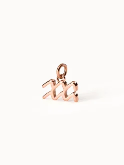 Hot PURELEI Wassermann Zodiac Charm