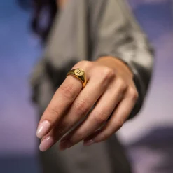 Cheap PURELEI Zwilling Zodiac Ring Gold