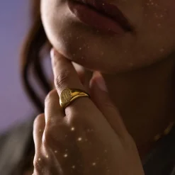 Cheap PURELEI Zwilling Zodiac Ring Gold